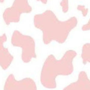 Meet your Posher, Alison